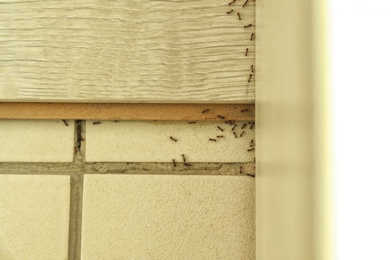 Seasonal Ant Activity And When To Schedule Pest Control Service